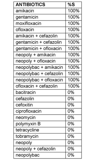 Gram variable cocci